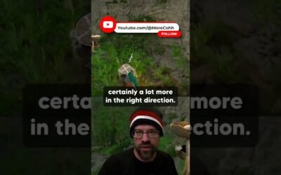 Is The Crimson Desert Update Good