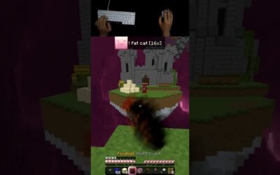 The BEST Bedwars Texture Pack – fat cat [16x]