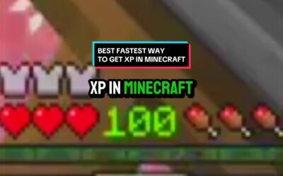 @wildbubba03 THE BEST FASTEST WAY TO GET XP IN MINECRAFT (XP GLITCH IN MINECRAFT…