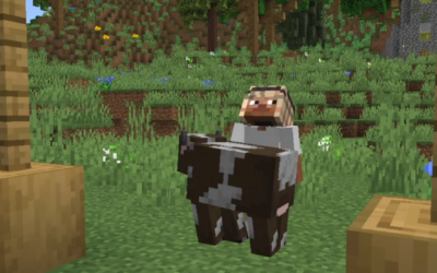 @heshi.mc What if Minecraft was realistic #mods #minecraft  …