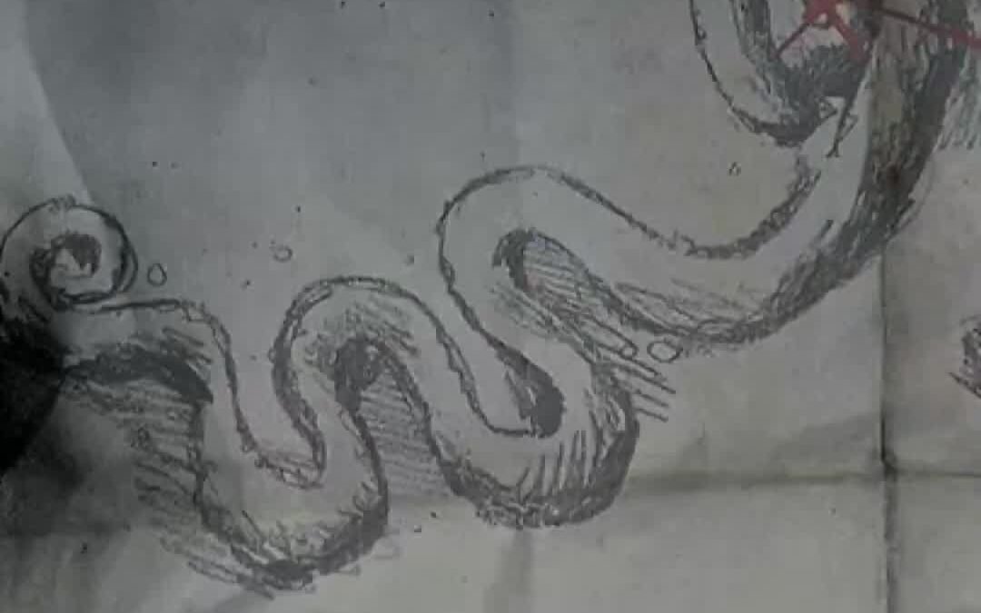 @_reddeadredemption2415 Secret Treasure Map That Gives 4 Gold Bars in Red Dead R…