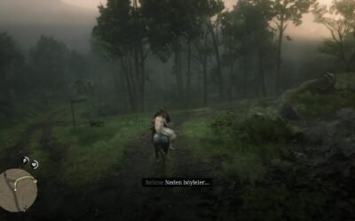 @kaptantortuga Red Dead Redemption 2  #reddeadredemption2edits  #reddeadredempti…