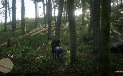 @kaptantortuga RDR 2 SOYMAK İÇİN ÖLMESİNİ BEKLE  Red Dead Redemption 2  #reddead…