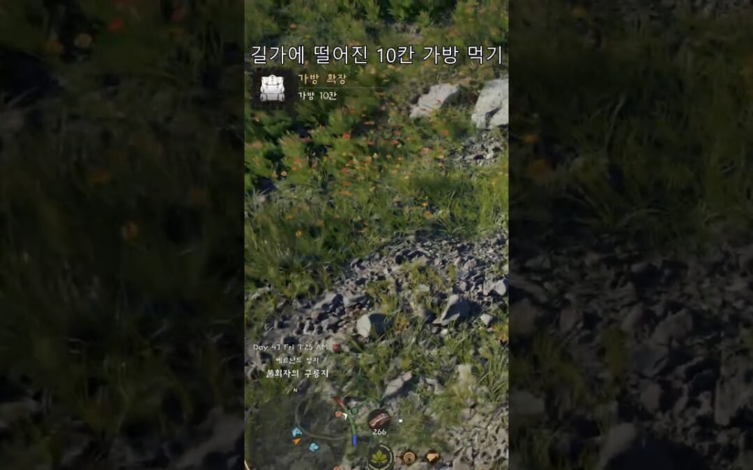 길가에 떨어진 10칸 가방 먹기 #붉은사막 #gaming #게임 #CrimsonDesert