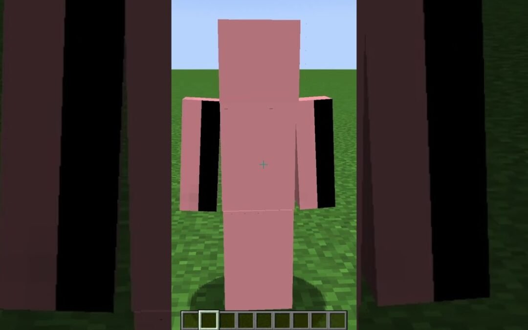 Self Expression – Black bars on Minecraft skins #shorts