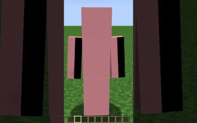 Self Expression – Black bars on Minecraft skins #shorts