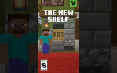 INTRODUCING… THE SHELF!