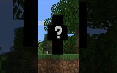 Esta es la Mejor Skin de Minecraft