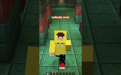 you CAN do this in minecraft, doesnt mean you SHOULD. #minecraft