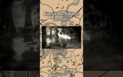 RDR2 Little Egret (Küçük Ak Balıkçıl) [Hayvanlar Rehberi Serisi 35] #oyun #reddeadredemption2 #rdr2