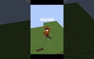 Top 8 Best Cracked Minecraft Servers 2025 🔥 (ip + port)