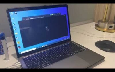 Running RDD2 Red Dead Redemption 2 on M1 MacBook Pro 2020