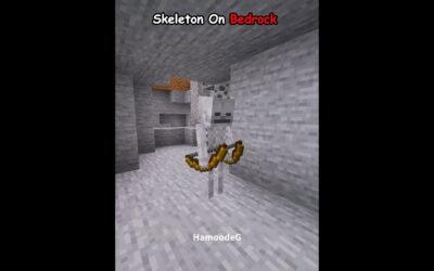 Java Skeleton VS Bedrock Skeleton 💀