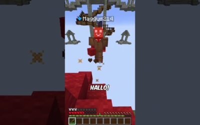 NIE wieder BEDWARS mit diesem einen FREUND… @Maggus214 #minecraftshorts #toobad #lustig