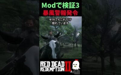 【RDR2】風をMAXにした結果 | 99%が見たことないRDR2の暴風【レッドデッドリデンプション2】