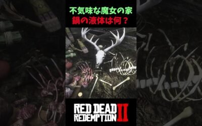 【RDR2】“魔女の家”と噂される不気味な隠れ家の正体…【レッドデッドリデンプション2】