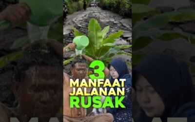 3 Manfaat Jalanan Rusak