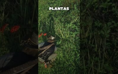 sé MILLONARIO RECOGUIENDO PLANTAS en RED DEAD REDEMPTION 2
