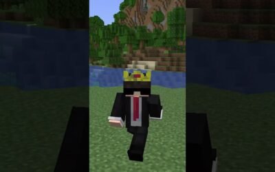 I Defeated The Owner of This Minecraft SMP!