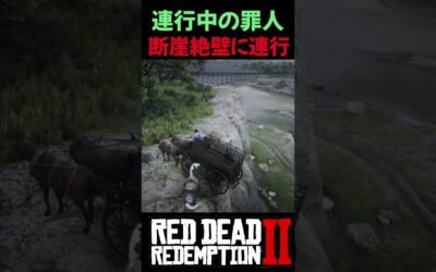 【RDR2】護送中の罪人を奪って崖に連れてったらこうなるｗ【レッドデッドリデンプション2】